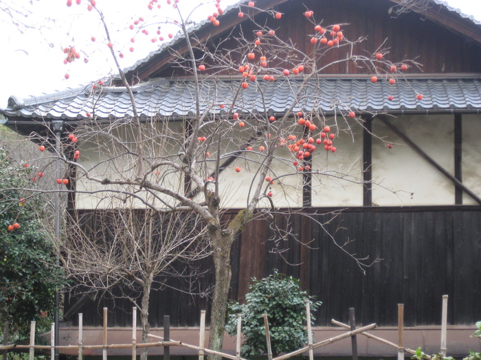 大事な時間_a0233896_1653021.jpg