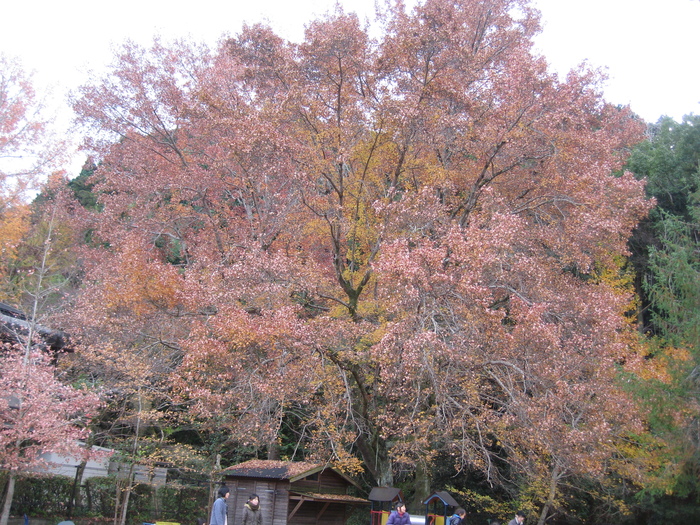 大事な時間_a0233896_175791.jpg