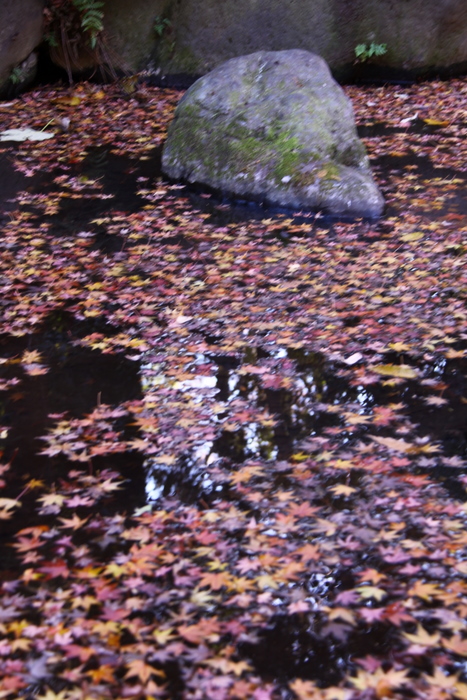 d0248502_11455624.jpg