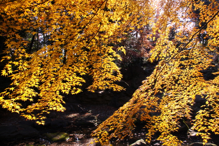 d0248502_23192750.jpg