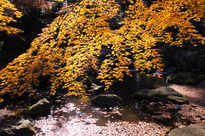 d0248502_23204484.jpg