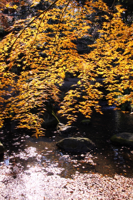 d0248502_2320612.jpg