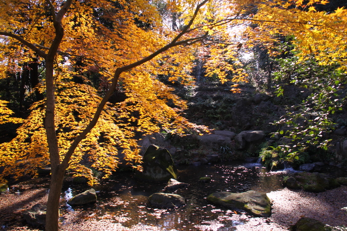 d0248502_23224281.jpg