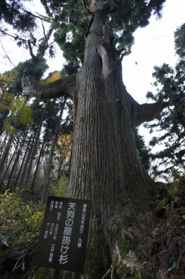 御岳山へ はいきんぐぅ ②_b0190603_3411827.jpg