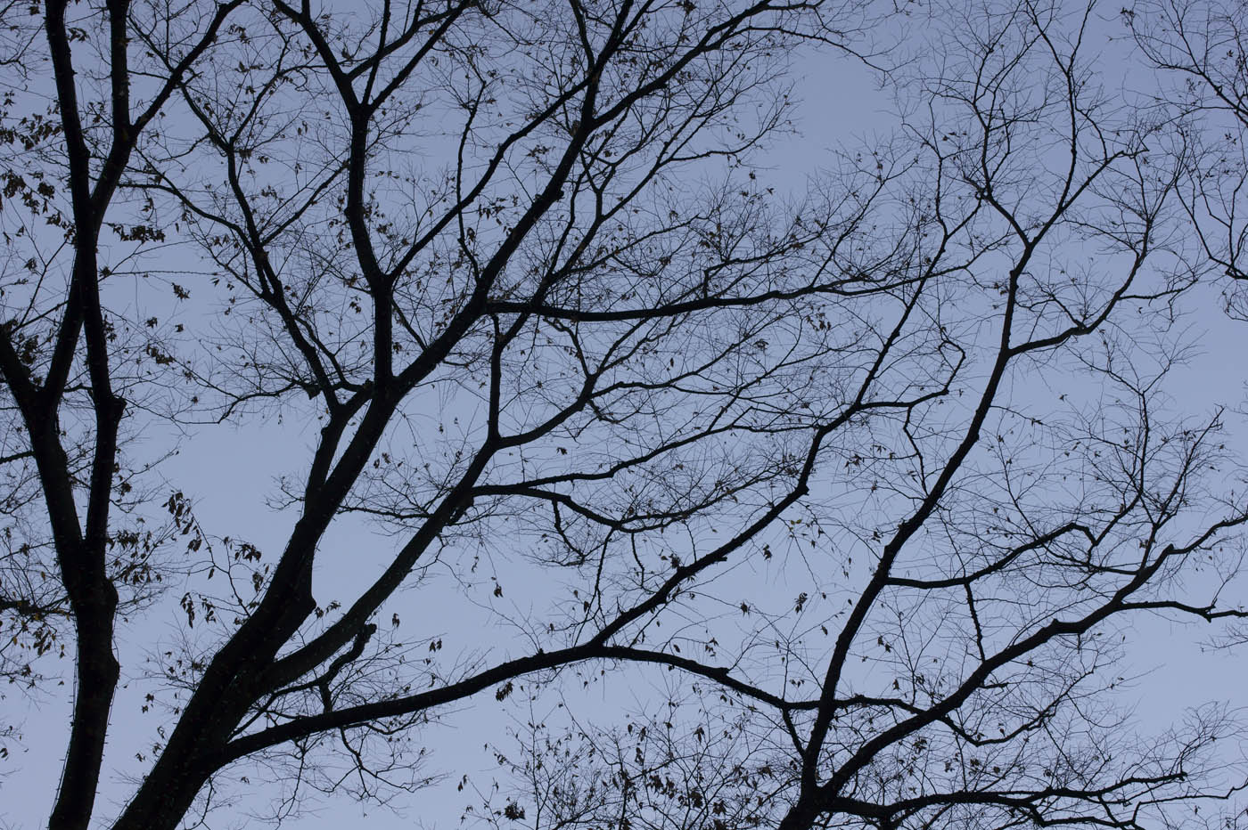 c0120903_2358374.jpg