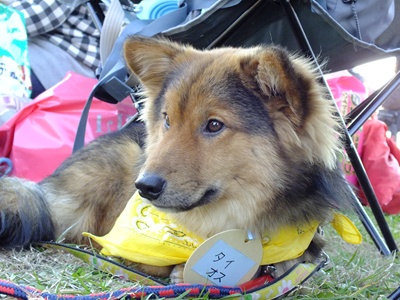 e0242804_22205539.jpg
