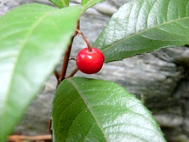 c0185914_17383740.jpg
