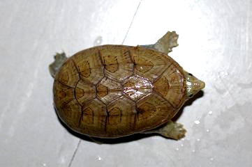 e0254814_181651.jpg