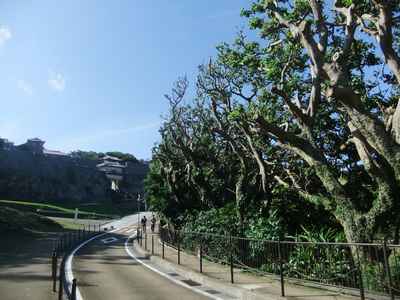 f0178416_1424483.jpg