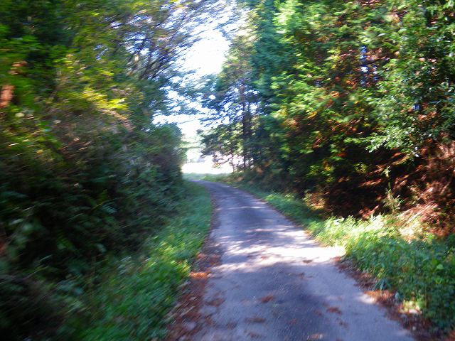 a0243317_21263974.jpg