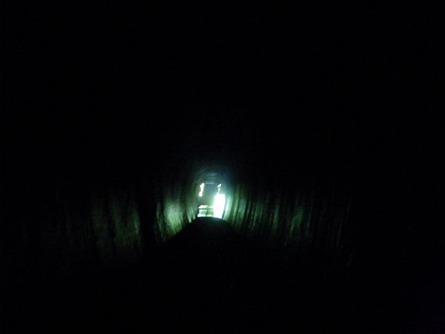 a0243317_225272.jpg