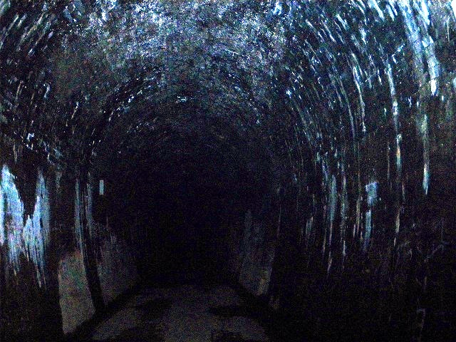 a0243317_2274133.jpg
