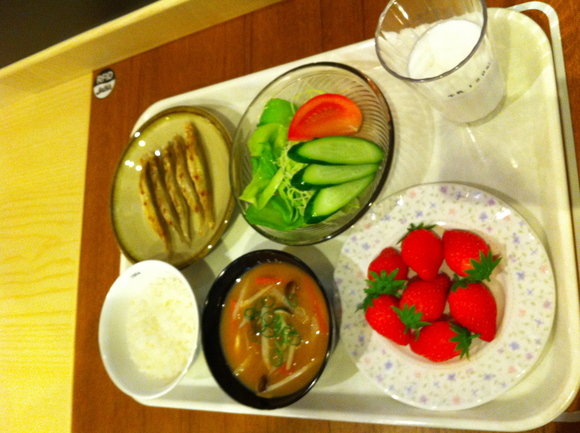 食育花育センター&天寿園へ_a0126418_16515090.jpg