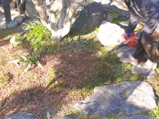c0192418_16235527.jpg