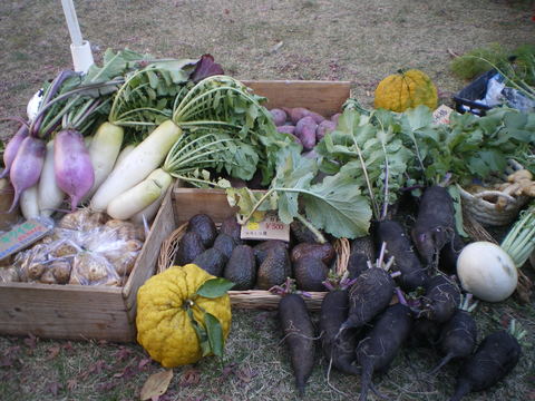 e0128024_10585861.jpg