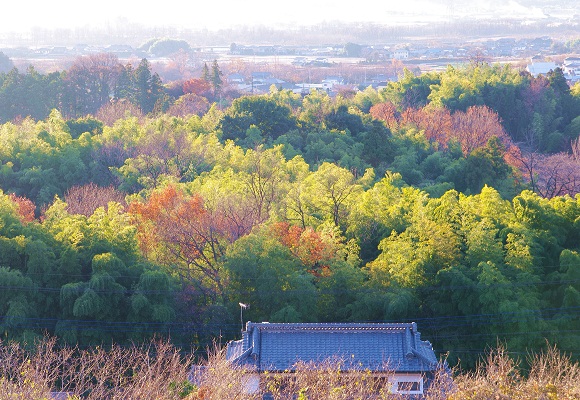 f0214527_112048.jpg