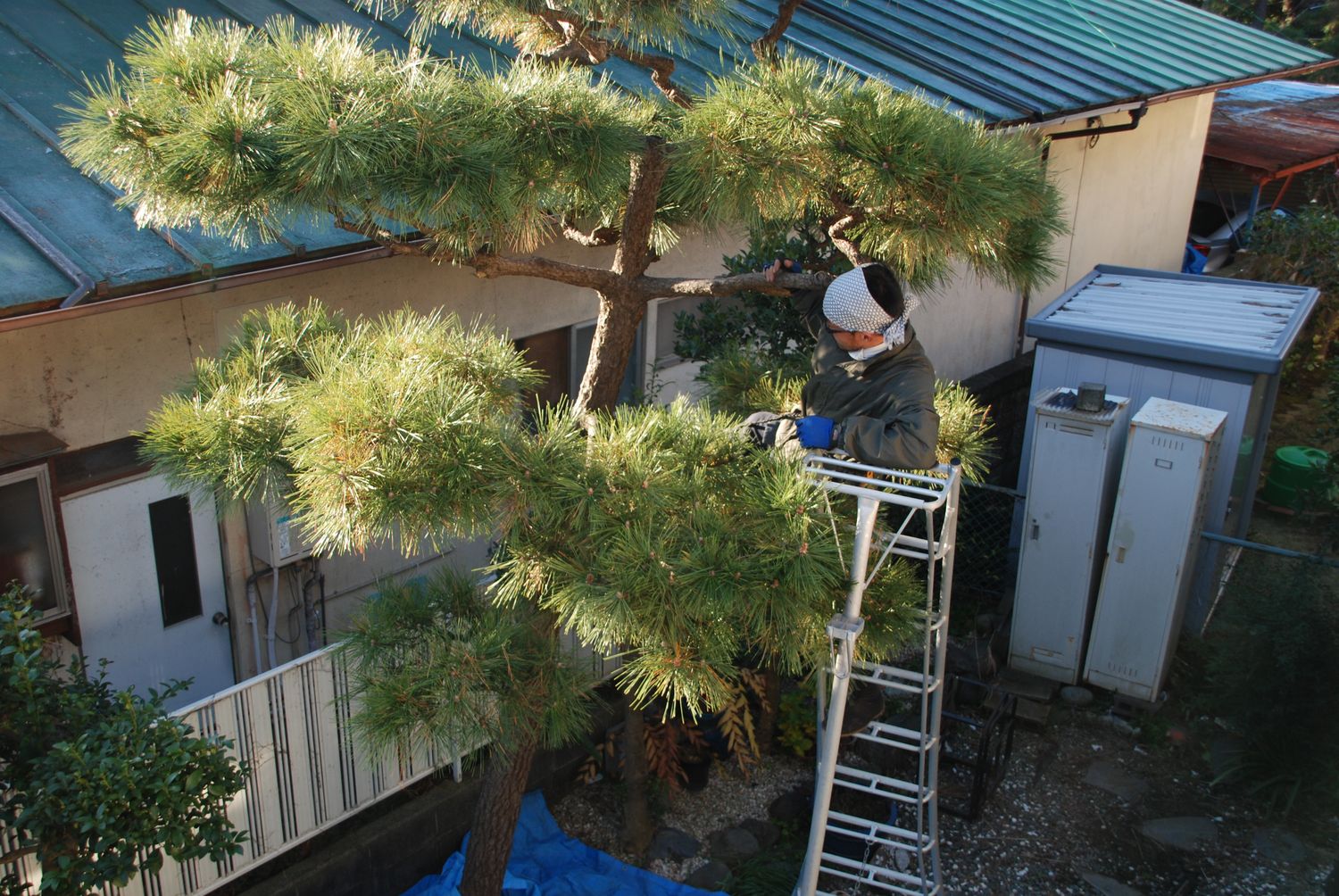 植木屋さんの新兵器_c0162128_23243353.jpg