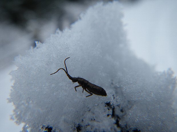 f0118332_0173559.jpg