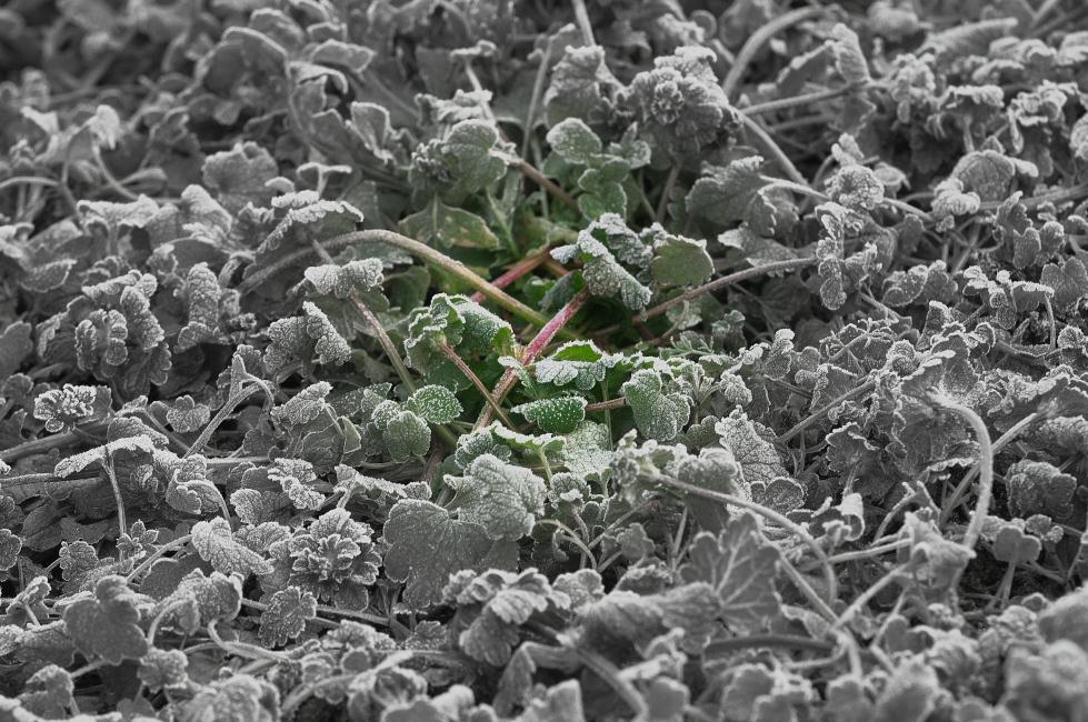 d0138737_16301368.jpg