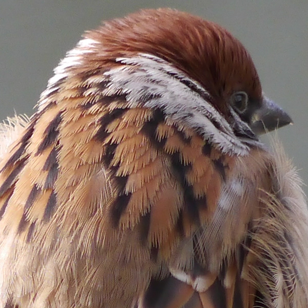 b0229648_2035359.jpg