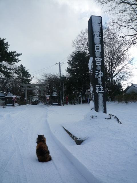 b0238249_14245781.jpg