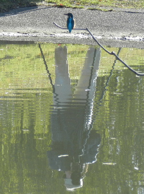 e0172950_1226491.jpg