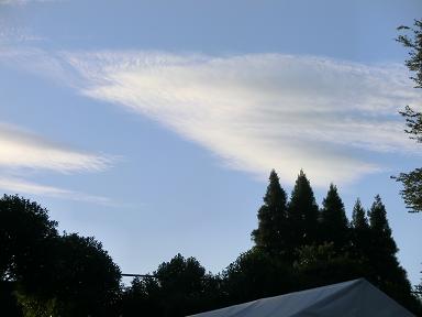 f0208355_8341389.jpg