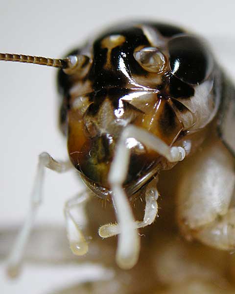 e0035757_18494335.jpg
