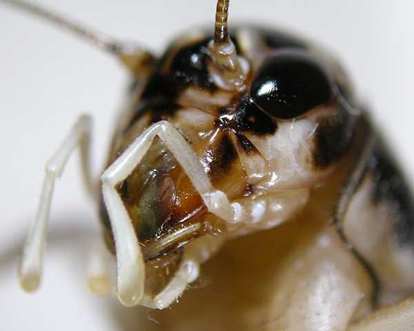 e0035757_18495353.jpg