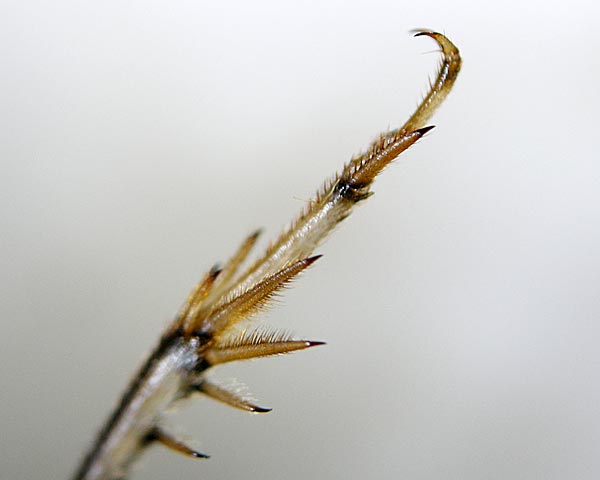 e0035757_18521231.jpg