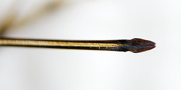 e0035757_18524569.jpg