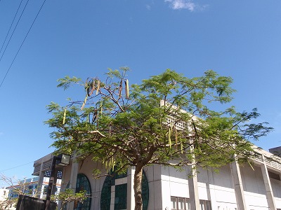 c0180460_18154594.jpg