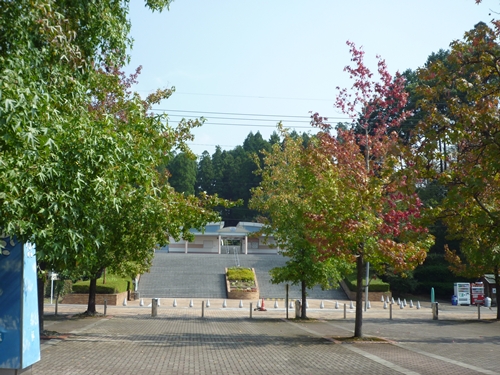 c0222861_2275997.jpg