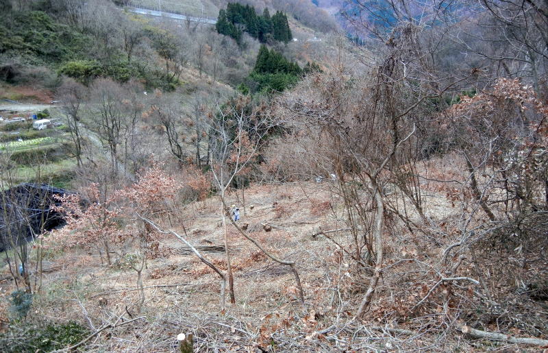 b0129962_20591920.jpg