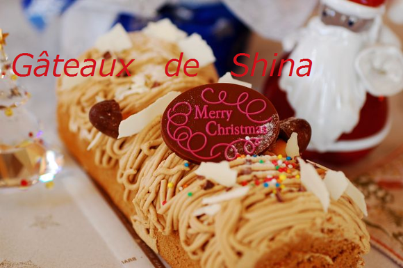 クリスマスケーキ_f0224567_22524990.png