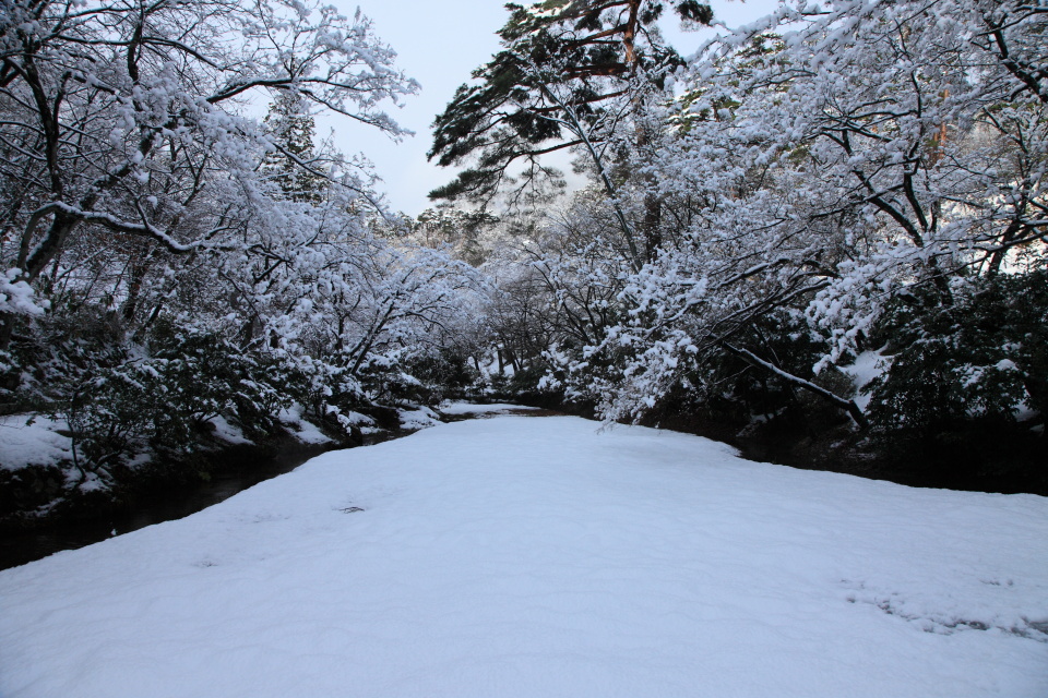 雪の弥彦公園_e0096372_6393961.jpg