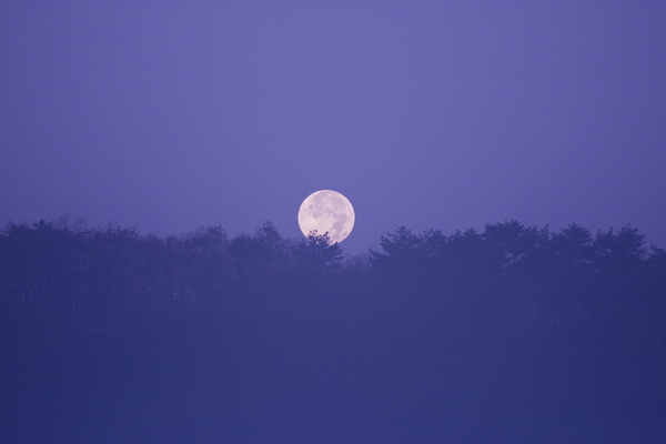 夜明けの残月 くろねこのぶらり春夏秋冬