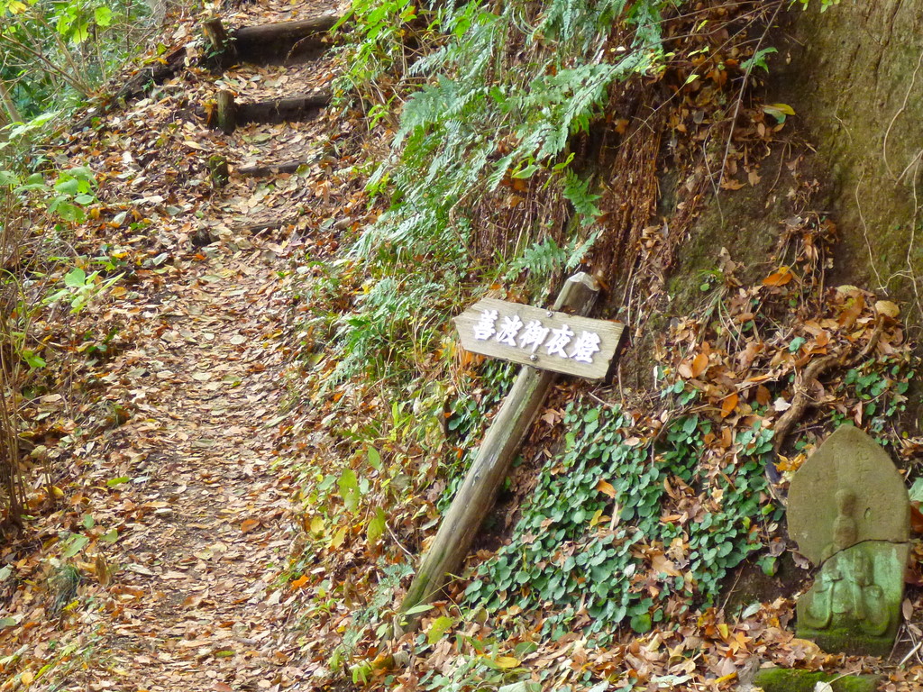 丹沢　高取山～弘法山縦走ツアー♪　（3）　秋の実を見つけながら　善波峠へ♪_e0195587_20132181.jpg