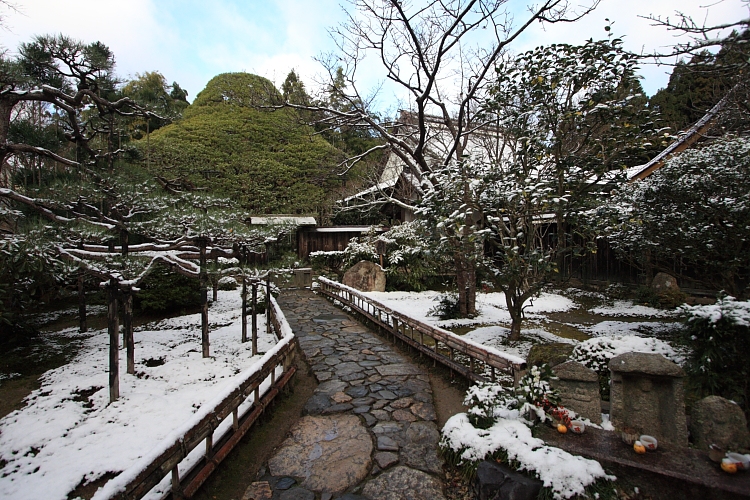 宝泉院_e0051888_115282.jpg