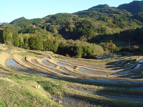 c0034391_18233944.jpg