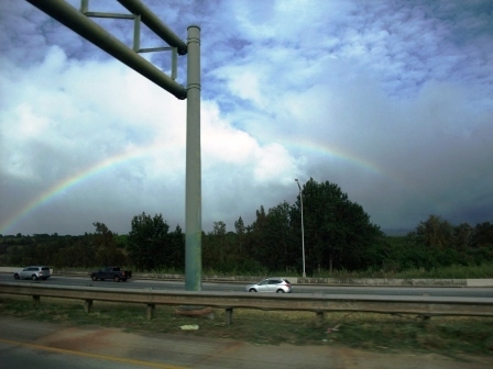 e0161692_261631.jpg