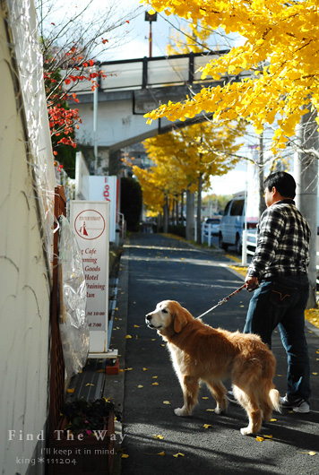 【wanこ】ごろのお返事セミナー in 大阪 vol.1_f0054594_1848385.jpg
