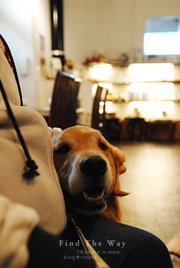 【犬的散歩日和】東京・南青山 〜 Kitchen Dog !  さん_f0054594_540478.jpg