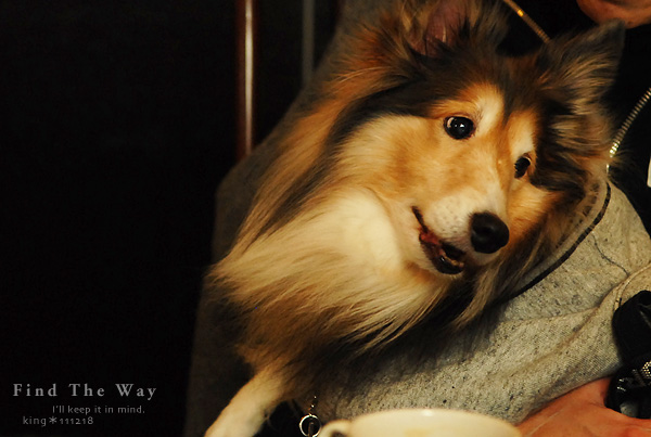 【犬的散歩日和】東京・南青山 〜 Kitchen Dog !  さん_f0054594_5412196.jpg