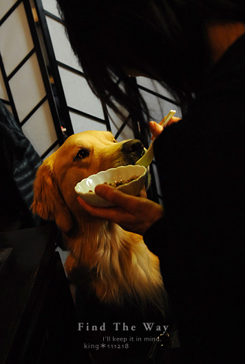 【犬的散歩日和】東京・南青山 〜 Kitchen Dog !  さん_f0054594_5433741.jpg