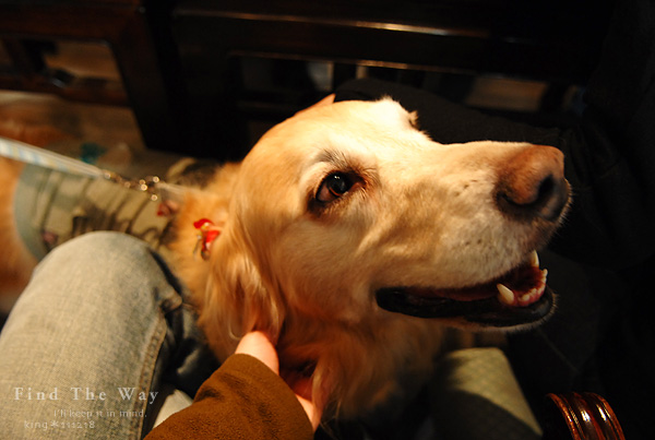 【犬的散歩日和】東京・南青山 〜 Kitchen Dog ! さん_f0054594_5452487.jpg