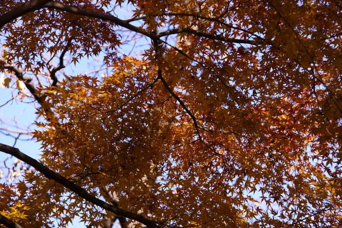 d0248502_10585135.jpg