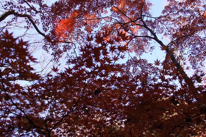 d0248502_1121417.jpg