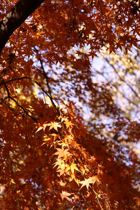 d0248502_114667.jpg