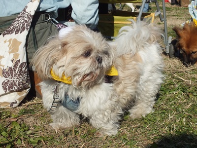e0242804_2148111.jpg